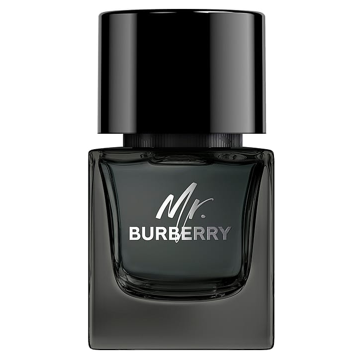 Burberry Mr. Burberry EdP 50 ml
