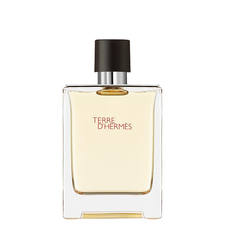 HERMÈS Terre D'Hermès Eau De Toilette 100 ml